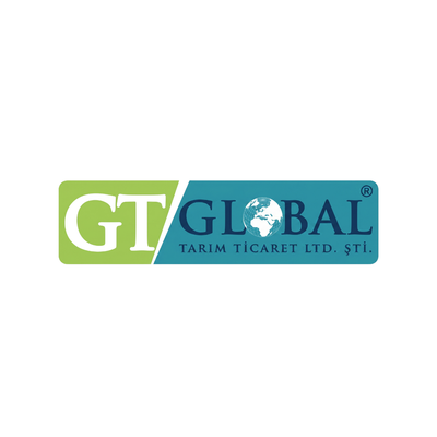 GT Global