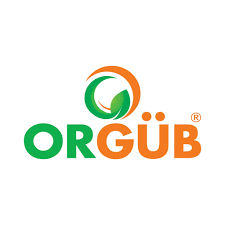 Orgüb