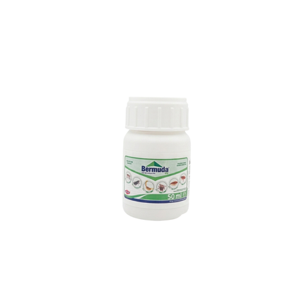 BERMUDA 50 ML
