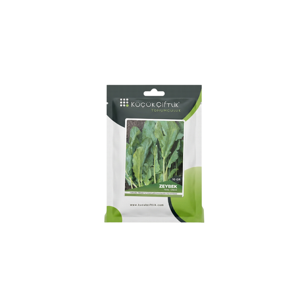 ZEYBEK TERE TOHUMU 10 GR